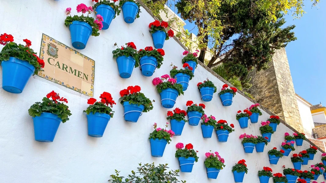 Marbella old town